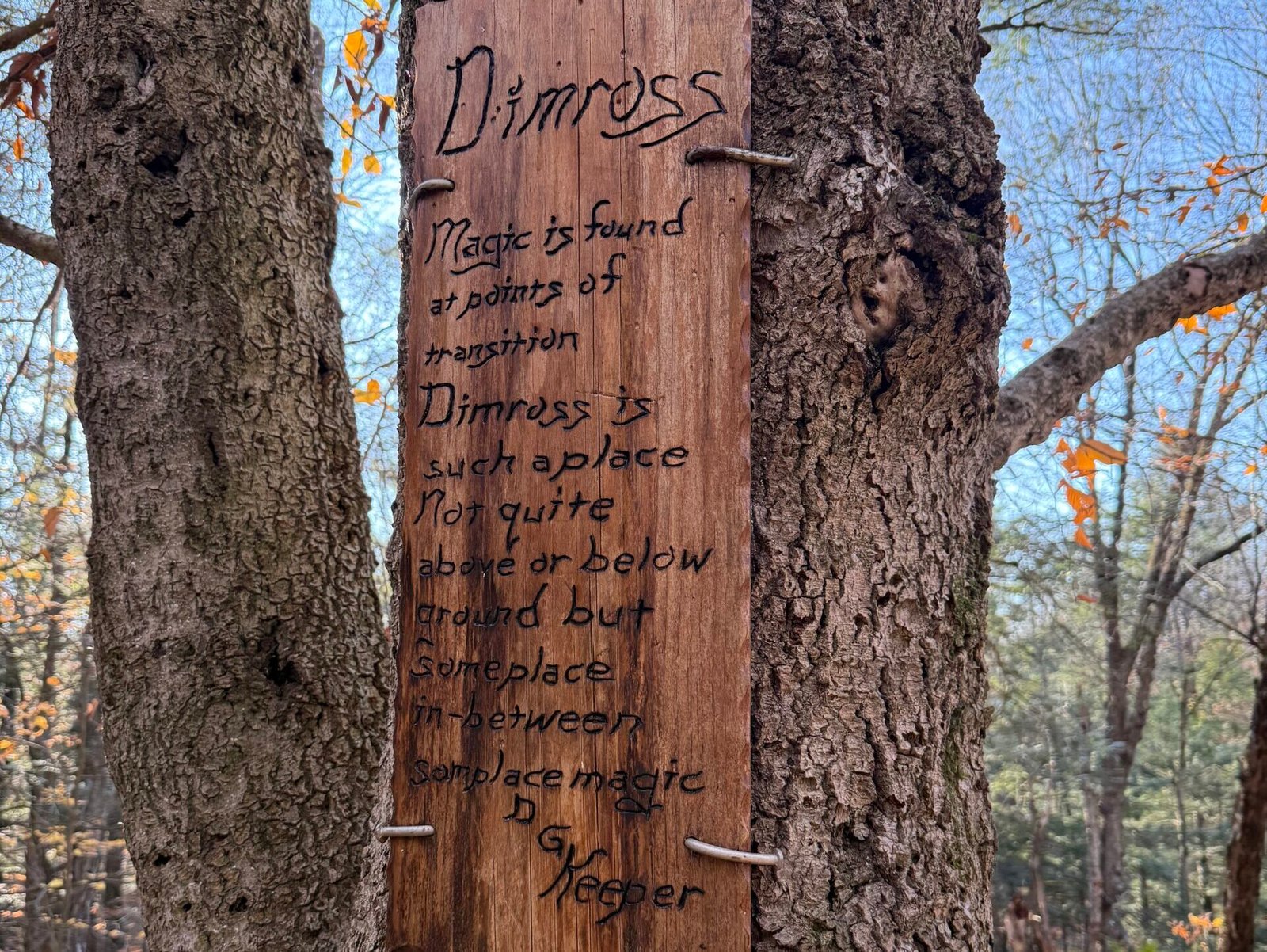 Dimross Chronicles 2008