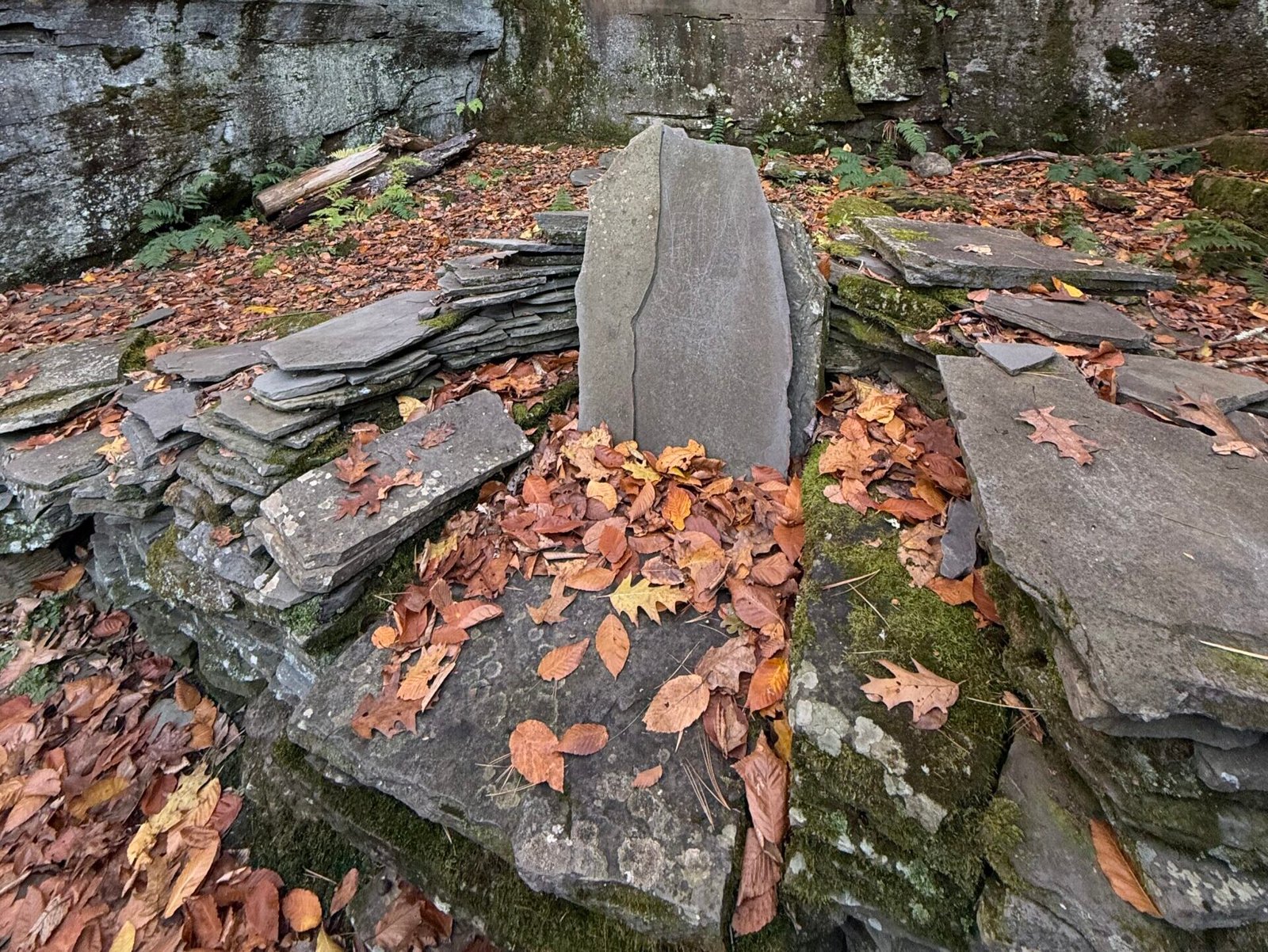 Dimross Chronicles 2016